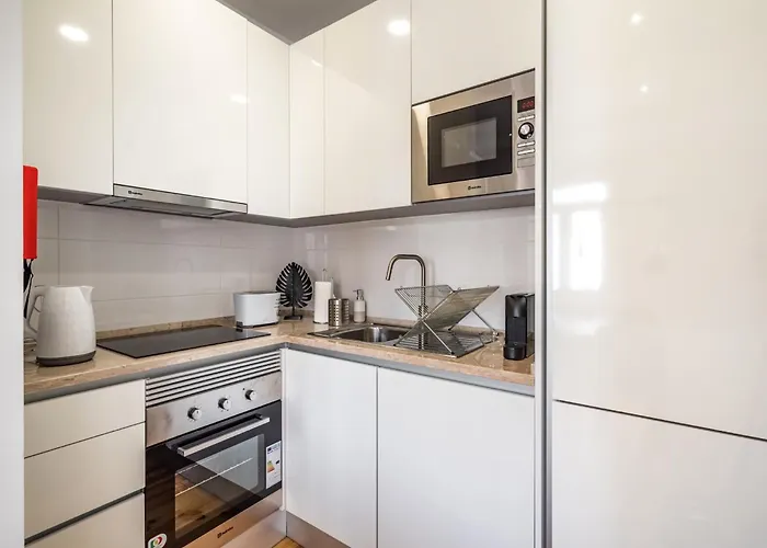 Akicity Arroios Blackberry